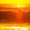 Surfer-Sonnenuntergang-Urlaub